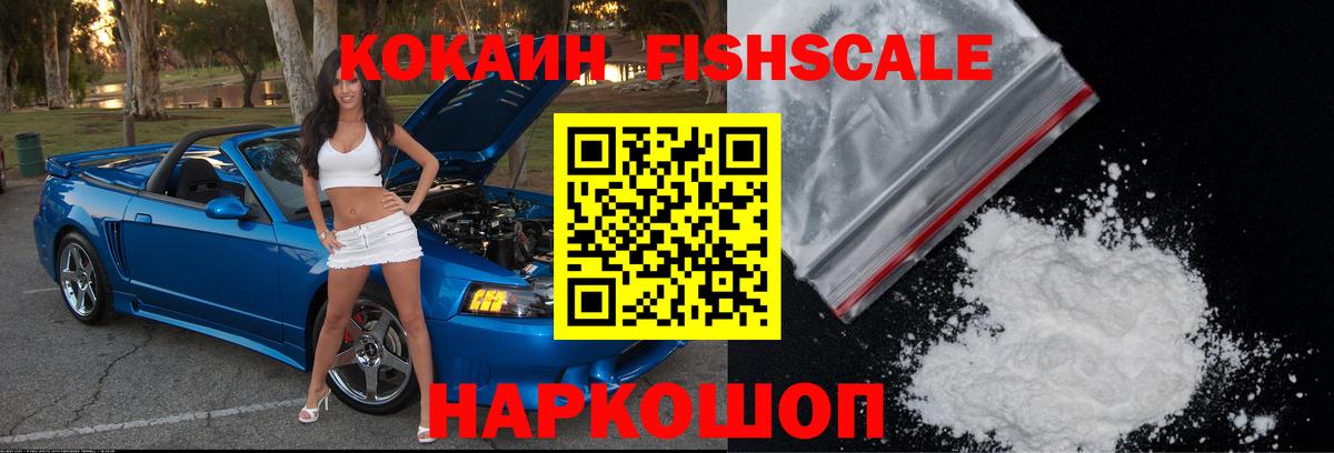 Cocaine Fish Scale  Cocaine Fish Scale  Владимир  COCAIN  Вход с VPN 