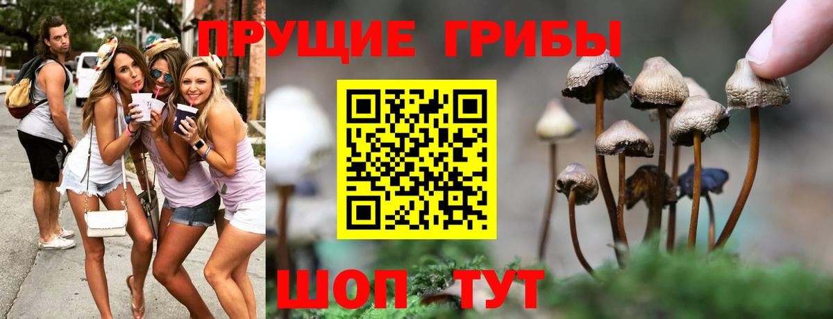 Владимир  Псилоцибиновые грибы мухоморы  Вход с VPN 